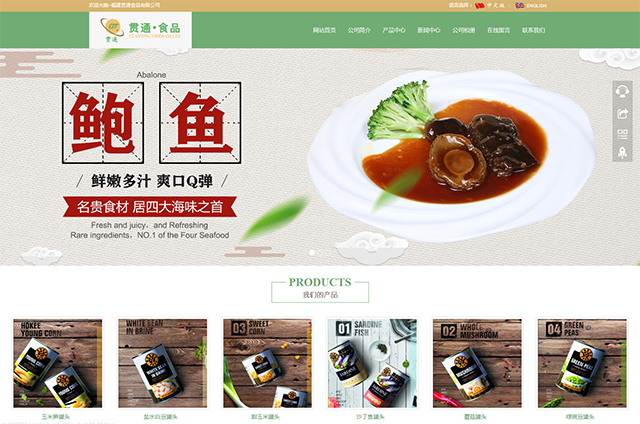 網站(zhàn)建設——貫通(tōng)食品有(yǒu)限公司